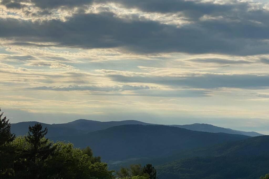 Urig / Mitten Im Bayerischen Wald + Schonblick + Netflix Schofweg Ngoại thất bức ảnh